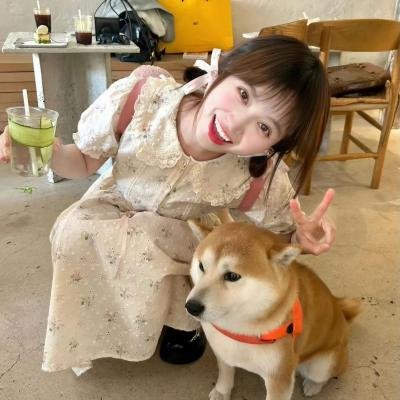 小丫头淡紫历险记